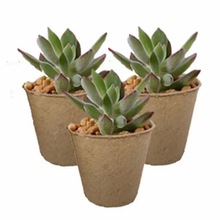 �F؛���籭���Լ�Ѩ�P�����P�ɽ��⼈�{ģ���бP�I�B�����㼈����