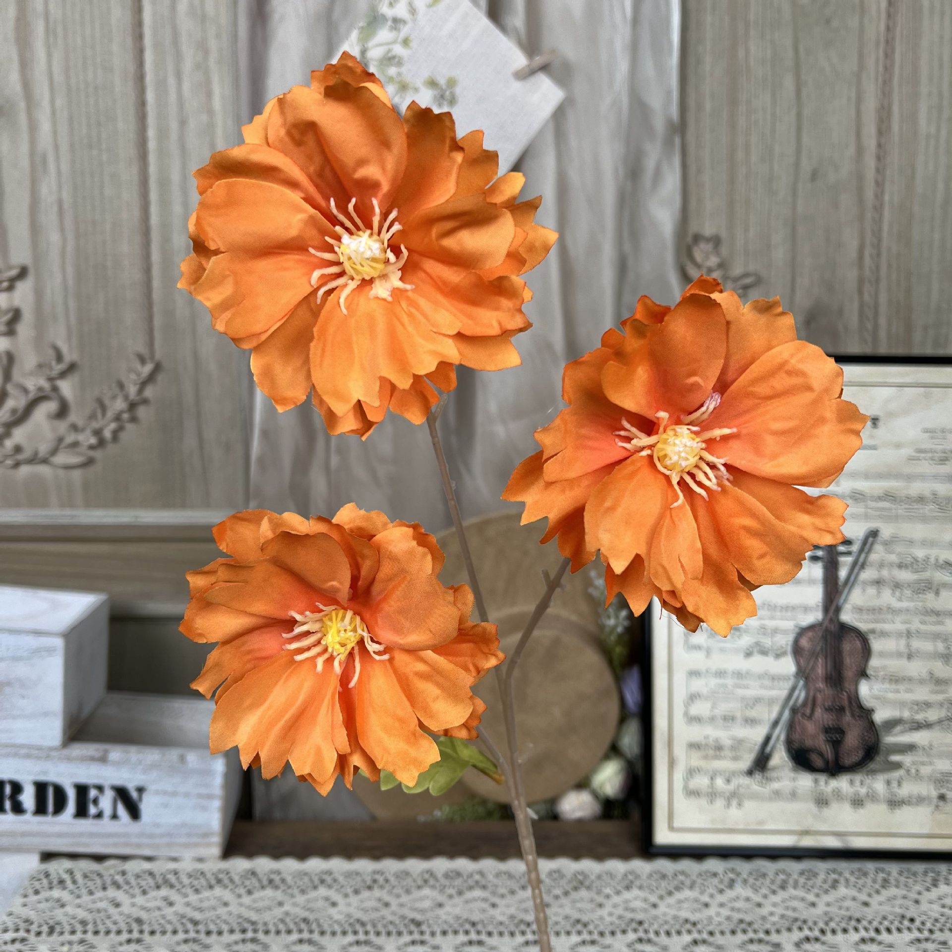 Y-란시 꽃-오렌지