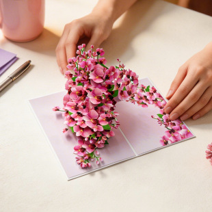 ĸ�H���R�����ώ��¿�ף���Y��3d�������w�ֹ��ж��ώ�����С��Ƭ