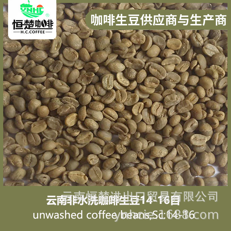 Yunnan Hengchu Small Coffee Raw Beans Arabica Non-washable 14-16 Mesh, Export Factory Yunnan Hengchu Small Coffee Raw Beans Arabica Non-washable 14-16 Mesh, Export Factory