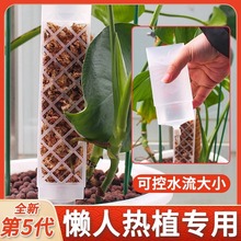 跨境亚马逊水苔柱龟背竹热植攀附柱绿萝爬藤植物攀爬柱固定棒支架