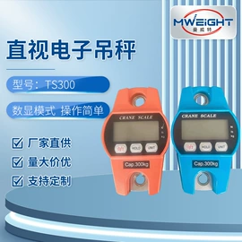 厨房秤;电子秤;手提秤