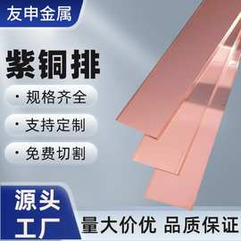 国标T2紫铜排C1100紫铜排加工接地导电镀锡实心方形铜排现货批发