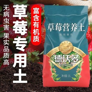Devodo Strawberry Special Nutrition Soil Melon Fruit Tree General Soil Balcony Special Fertilizer Organic Mud Soil Planting Soil