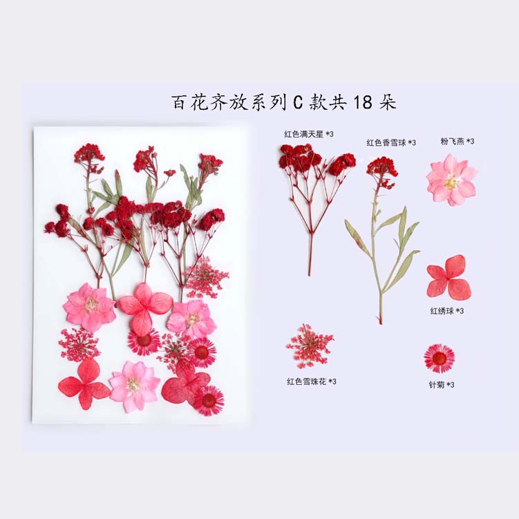 Paquete de material en relieve jardín de infantes en relieve DIY marcador epoxi flor seca caja del teléfono en relieve planta muestra