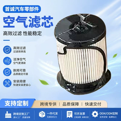 Lengwang filter element air filter 11-9965, custom-made air filter for automobiles, with a full range of specifications for export (Automobile filter element)
