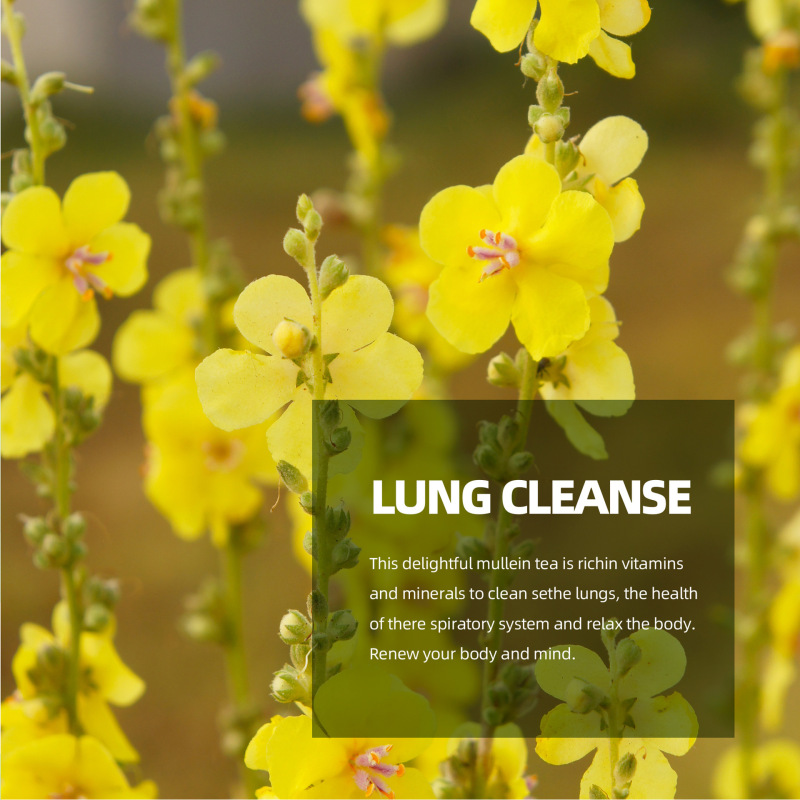 外贸跨境 Mullein Leaf Lung Tea bags 肺部清洁护理毛蕊花叶茶|undefined
