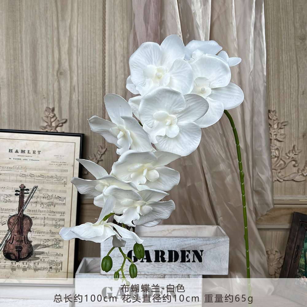 XD-cloth phalaenopsis-White