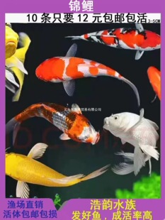 �^�p�~�\����ˮ�W�^�~�ͻ���B�t�~��ˮ���~���~�\�����~