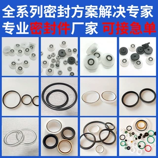 PTFE泛塞封密封件不锈钢骨架油封点胶机四氟异型导向油封件