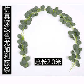 亚马逊绿叶仿真藤条藤蔓婚礼装饰桉树圆叶缠绕尤加利叶藤条藤蔓