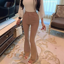 2026�¿����üӽq���nϵ������������ѝ�ߏ��Ӻ��@�ݚ��|���eѝ
