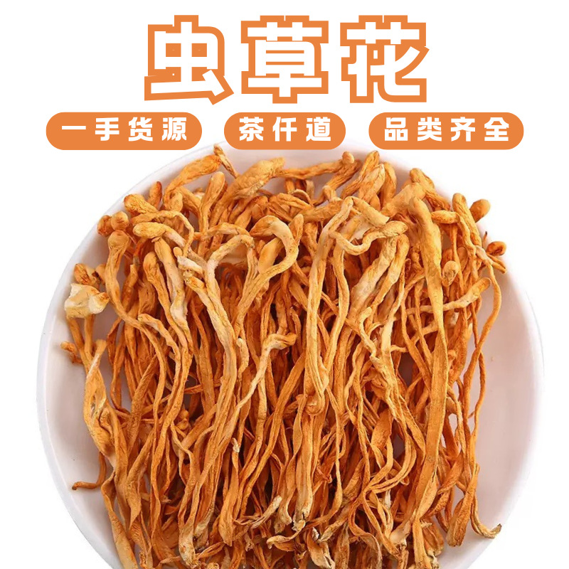Cordyceps Flower Chong Cao Hua Dried Cordyceps Militaris Fruiting Bodies 500g for Soup and Tea overview