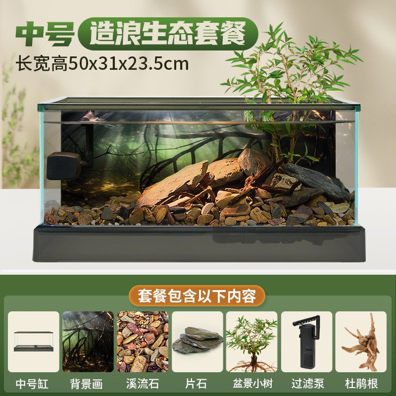중형 남미 탱크 [필터 조경 패키지] + 선물 패키지