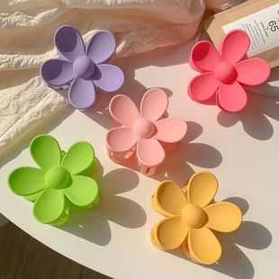 �ļ���������ץ�Ains��Ů�l���P�l�A�ӳ��ɺ��sĥɰ���~�A���n�l