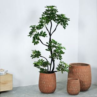 �V�໨�豱�Wˇ�g�͏d�̈��҃�����ر��W�ش���̖�Gֲ����ˮ����