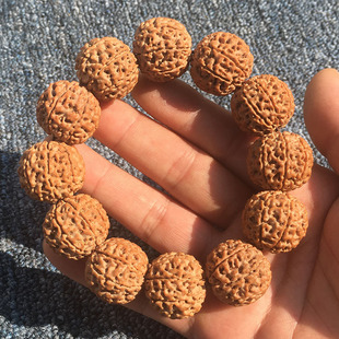 ����������ִ��SƤԭ��5��6��7��8��9��ӡ��tƤ�M�����������