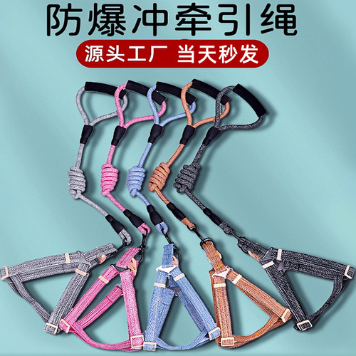 Manufacturer wholesale cross-border new dog leash, adjustable dog leash, medium and large bite-resistant, explosion-proof dog leash