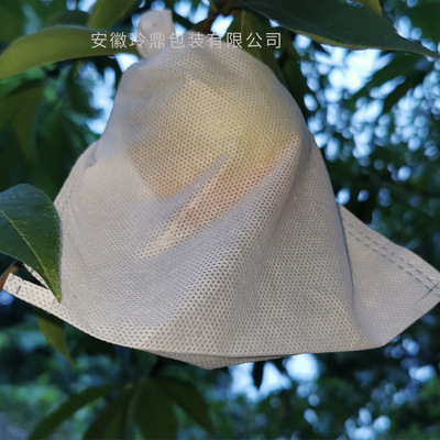 訂做水果套袋 葡萄套袋葡萄袋防鳥防水防無紡布 果袋育苗套袋現貨