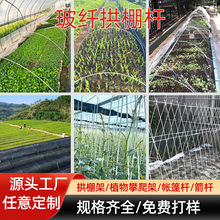 定制玻璃纤维杆拱棚室外支架棒蔬菜遮阳保温玻璃纤维农用大棚杆子