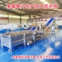 商用大型烘干果脯流水线