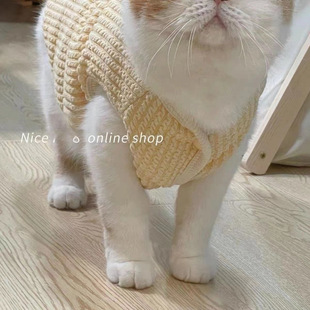Cute Wool Vest Pet 2024 Autumn and Winter Cat Clothes Puppet Blue Cat Dog fleece-lined Warm Vest