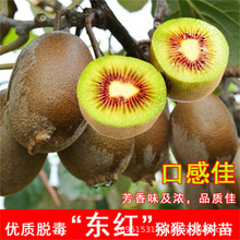 �t�īJ���Ҙ����ϱ����Nֲ���Ե����S��ܛ���J��������箔��Y��