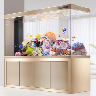 Luxury Arowana Tank Bottom Filter Living Room Household Medium and Large Water-Change-Free Aquarium Screen Wall-Mounted Ultra-White Glass High-End