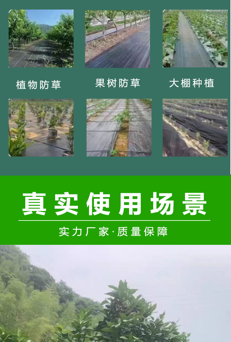 详情7