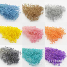 【永生百万星/霞草】家居装饰 饰品 云南满天星批基地批发