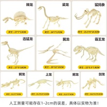 （10款）恐龙化石骨架模型儿童手工diy男孩女孩考古玩具配件