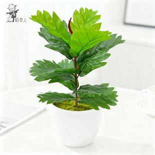 �羳���W�L���������Gɫֲ��٘����ԼҾ��b@�֑����쾰�辰