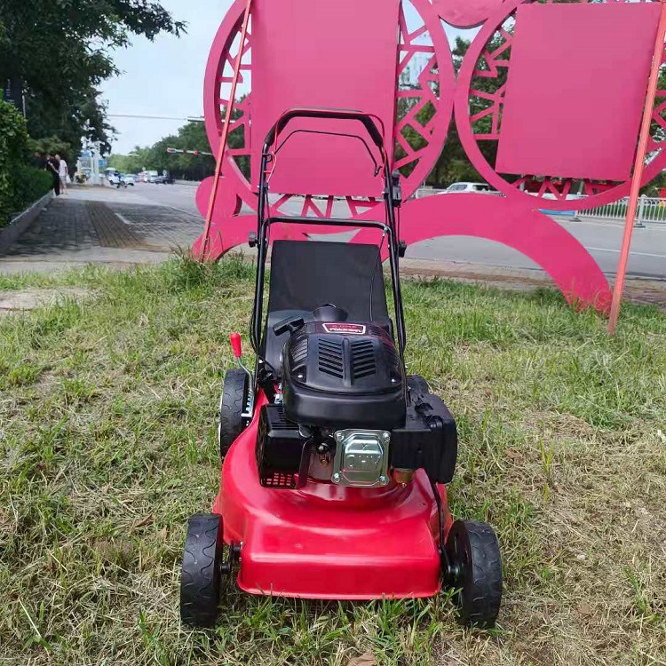 山东勤耕工厂现货手推草坪修剪机自走剪草机汽油割草机新款