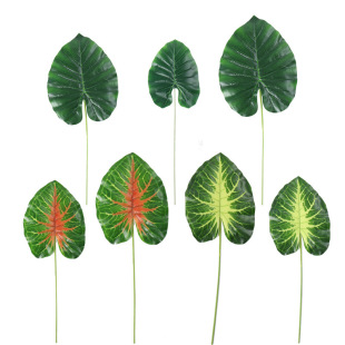 �����~�� ���潁��ˮ�^���~�� ���^�~ �Gɏ�~ �tɏ�~ ����ֲ��