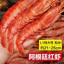 阿根廷红虾L1鲜活超特大红虾冷冻大虾4斤速冻船冻海鲜水产年货
