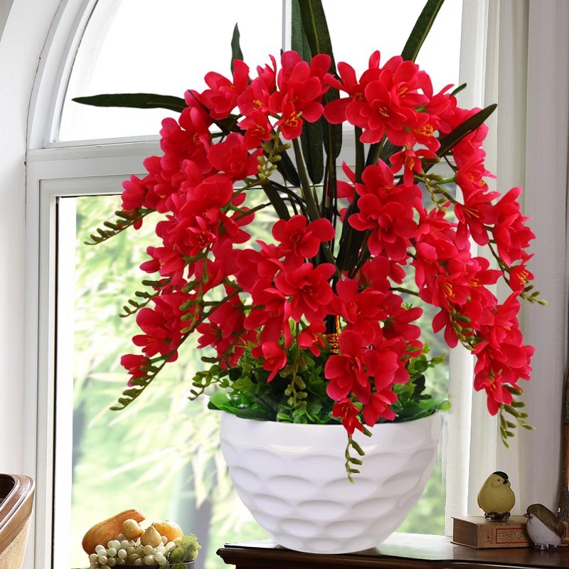 워터 큐브 Alyssum 분재 레드