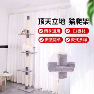 �羳����؈����ͨ����؈�����ܶ���ľ���������؈���؈ץ��ľ