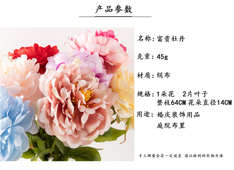 O1CN015A8nJJ1r2TwdaOPYq_!!2670