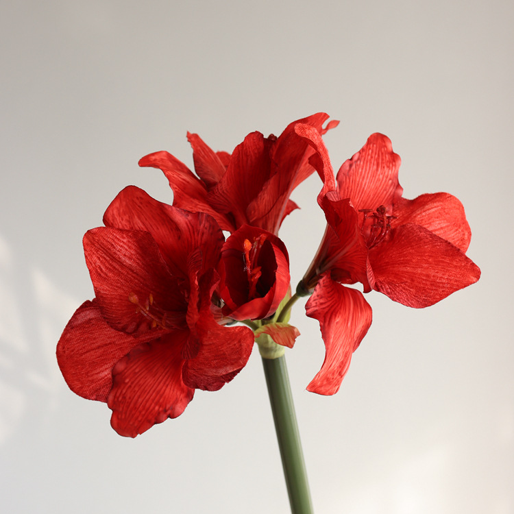 빨간색 짧은 막대 55cm