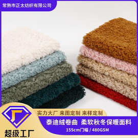 仿羊绒泰迪毛绒保暖柔软鞋帽围巾毛毯抱枕地垫卫衣套装面料泰迪绒