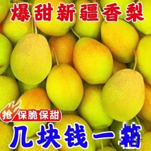 �½��젖���������rˮ������//�ﱡ���摪���t����������