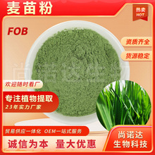 麦苗粉98%麦苗提取物大麦苗粉麦苗汁粉食品原料青汁粉大麦苗粉