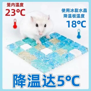 Hamster Summer Cooling Supplies Cooling Plate Pet Golden Bear Chinchilla Rabbit Mat Mat Summer Ice House