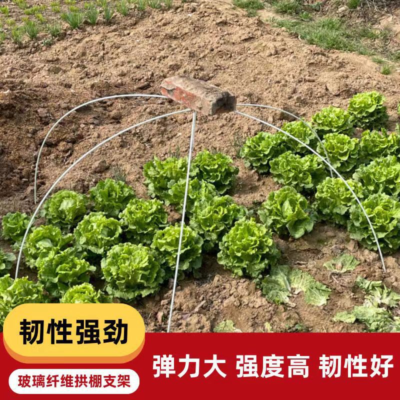 30 piezas con envío gratis, estructura de soporte para túnel arqueado pequeño para huerto, invernadero, agricultura y vegetales, esqueleto de invernadero, varilla de fibra de vidrio al por mayor