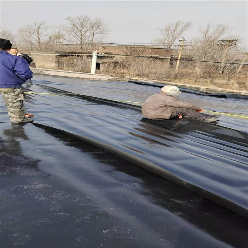 鱼池垂钓园防渗膜虾塘养殖土工膜0.35毫米耐老化土工膜厂商