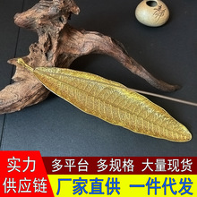 �¹��~�Ͻ�������~����t�������҃Ȳ������t�k���[�����l