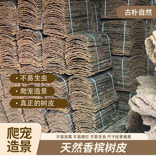Pet Landscaping Bark Cork Champagne Decorative Pillar Climbing Pet Avoiding Water and Land Tank Bag Covering Door Head Wall Palace