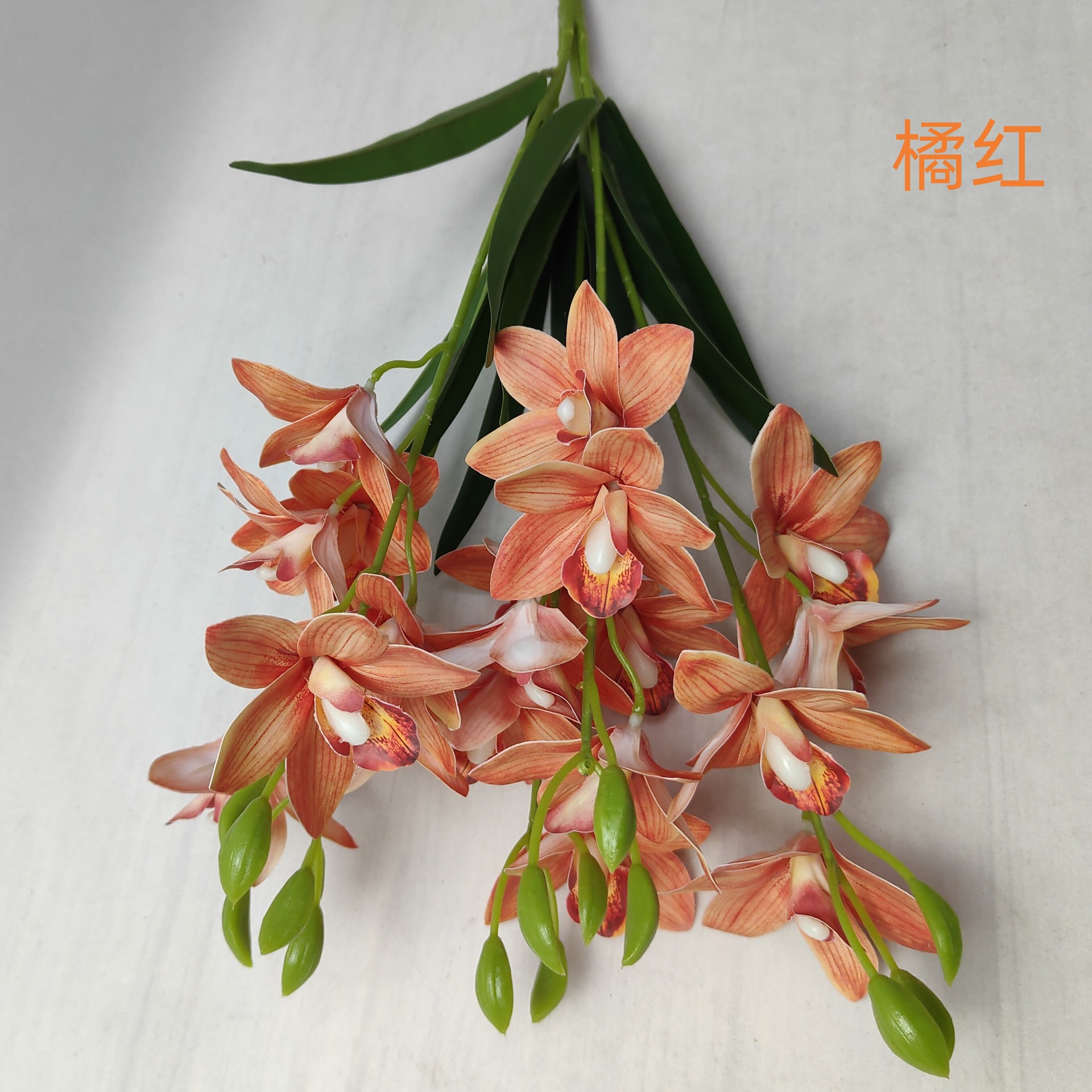 微信图片_20240223155642