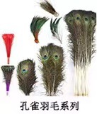 微信图片_20230216174453.jpg