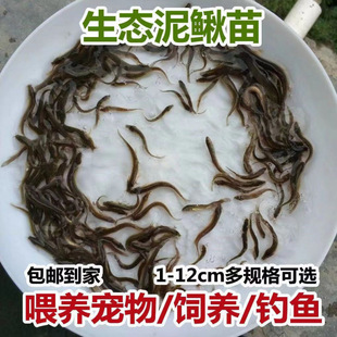 ̨�����q��~�籾�����q���q�r���~�Bֳ��ˮ�������~�������